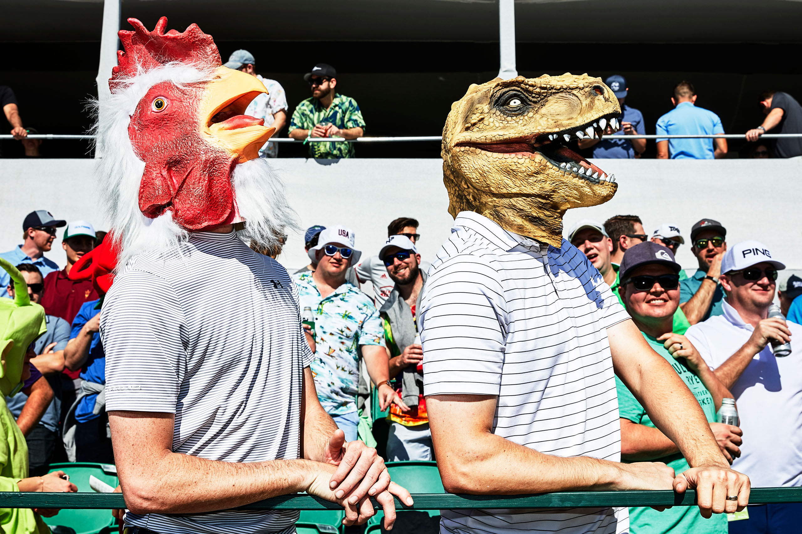 Big Gravy! The Golfer’s Journal