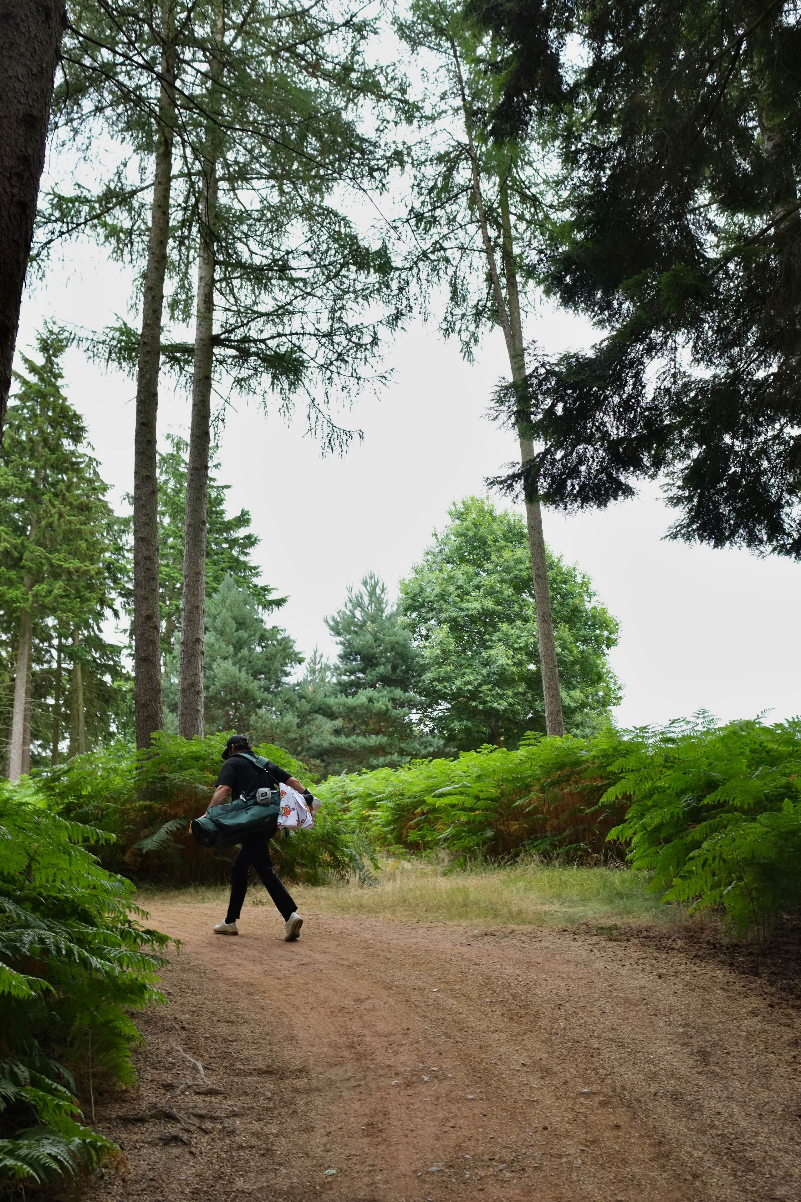 MBrock golfer in forest