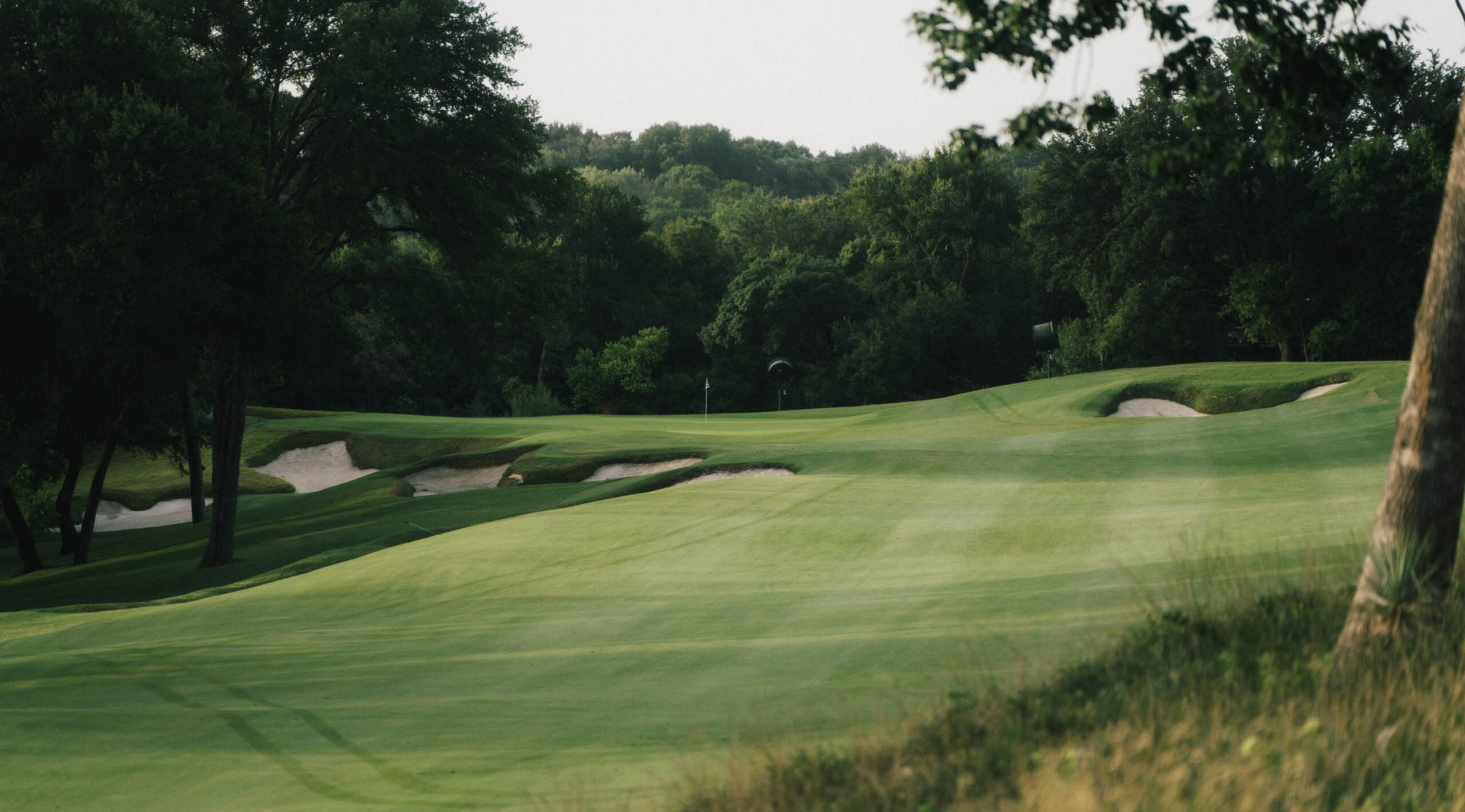 Shady Oaks