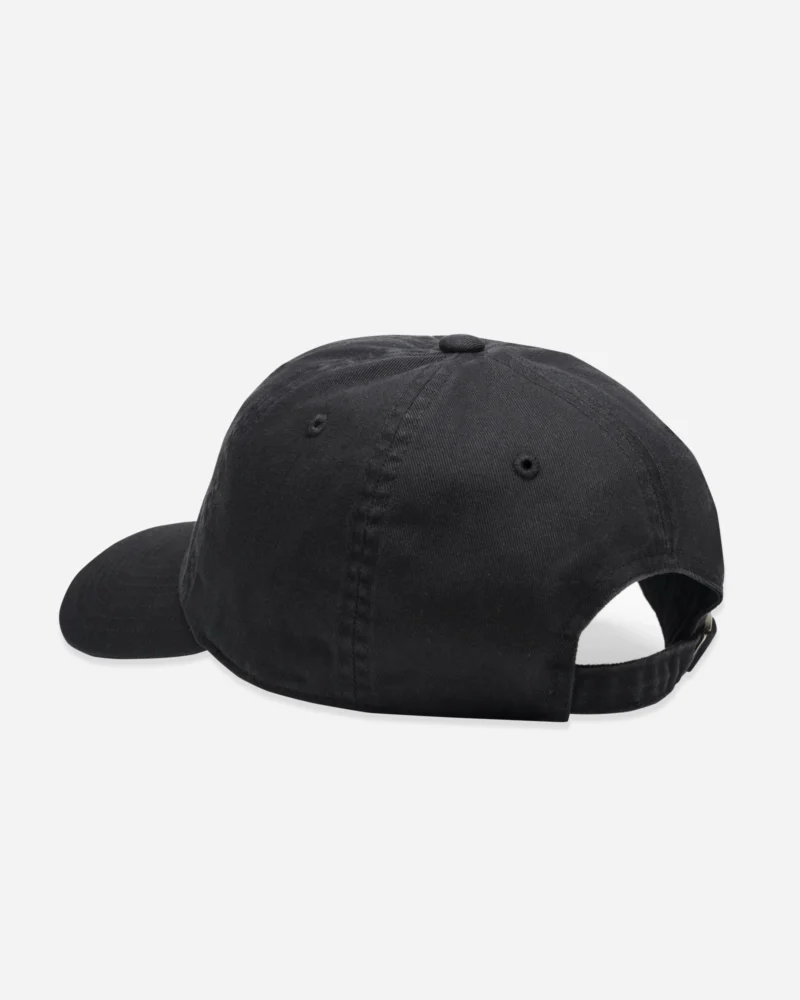 2025 Parside Twill Dad Hat