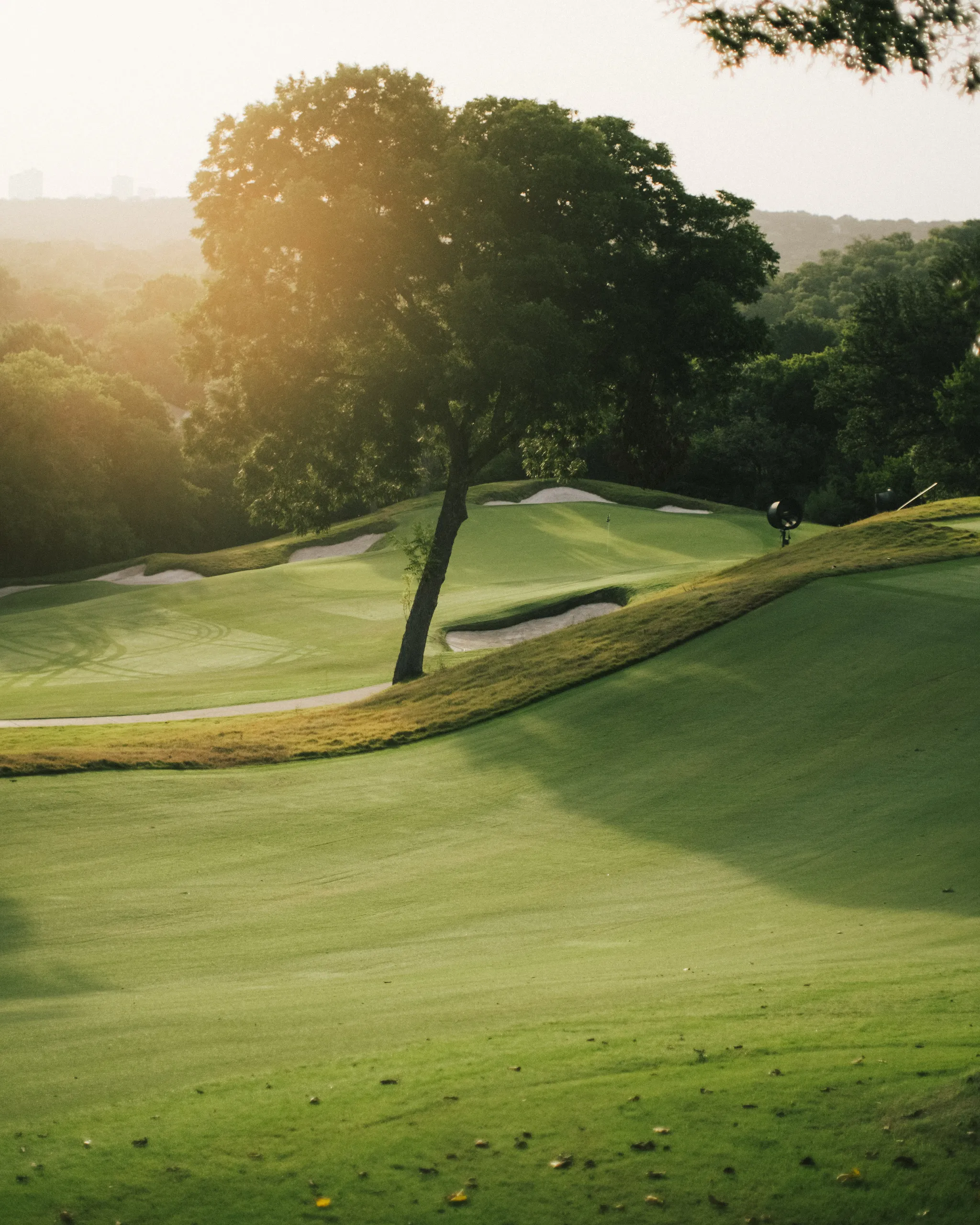 Shady Oaks