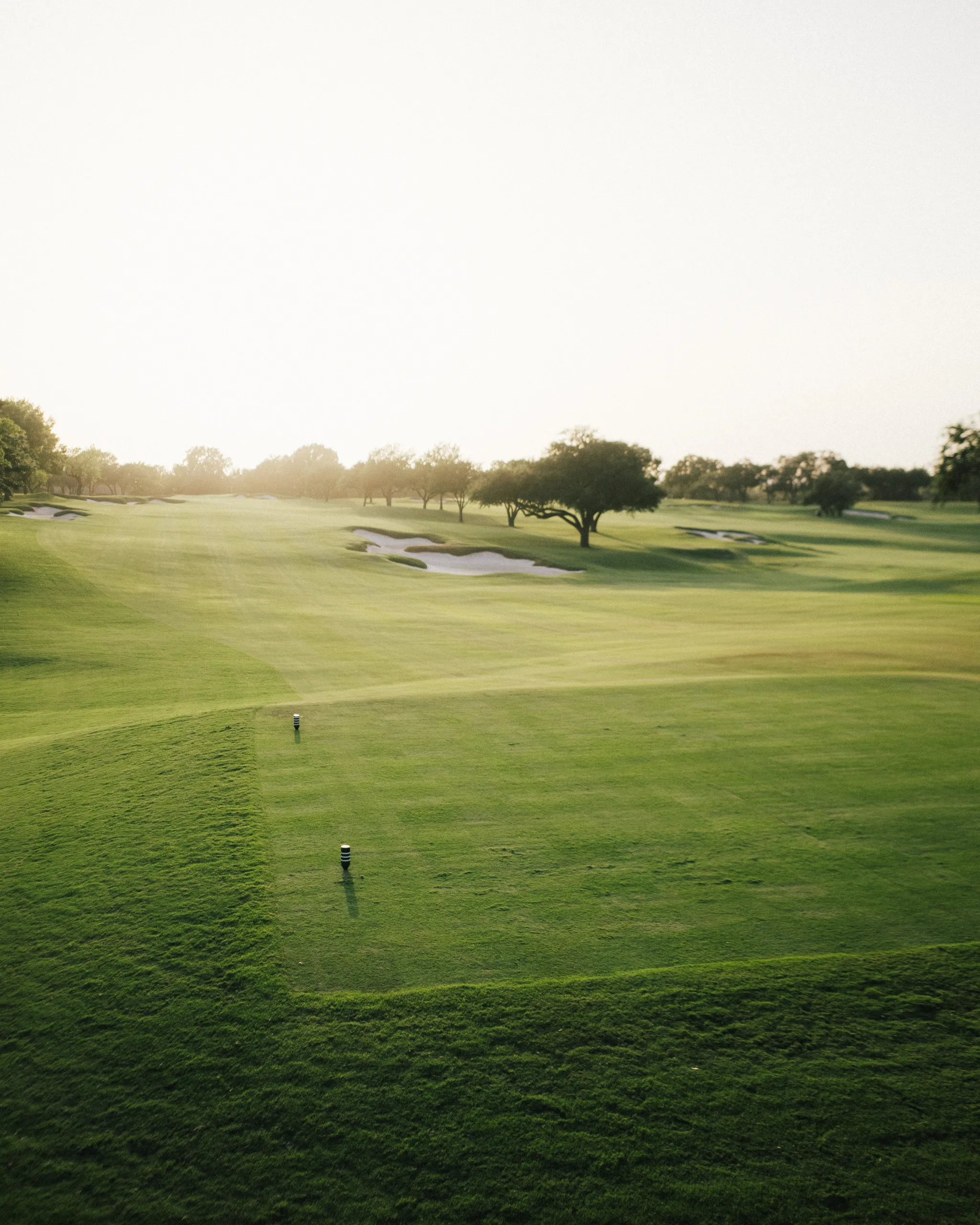 Shady Oaks