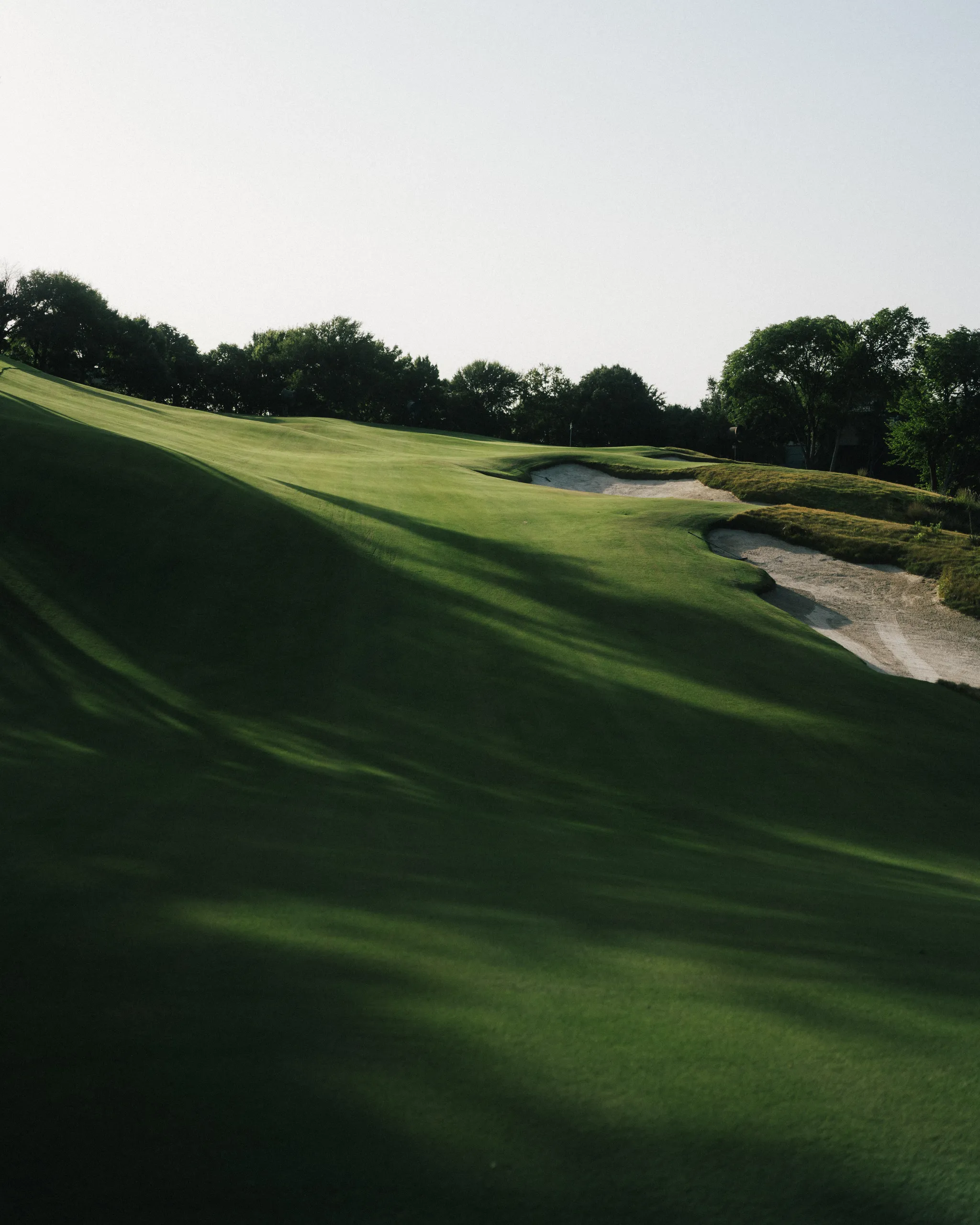 Shady Oaks