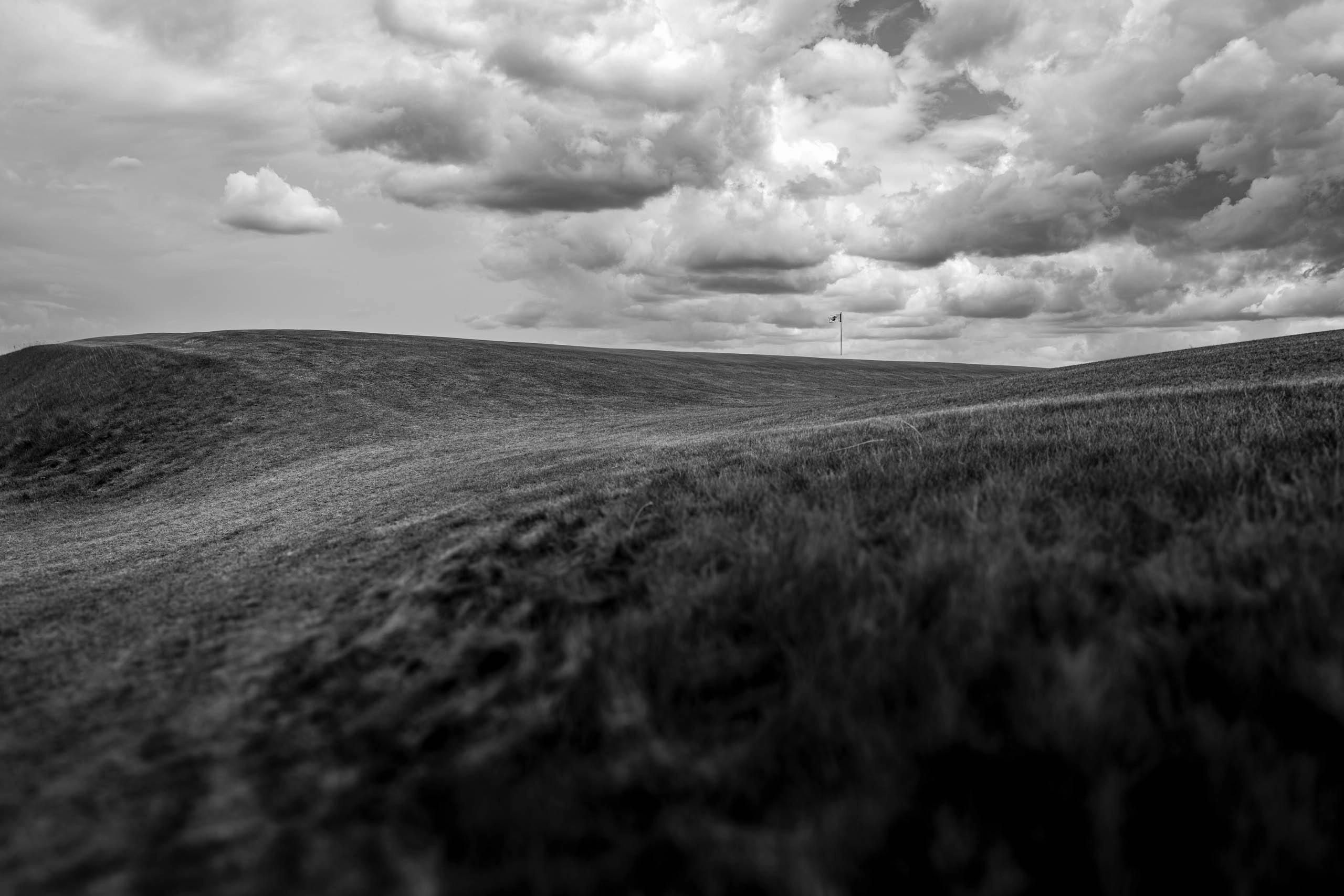 Nice Office Brandon Carter No. 33