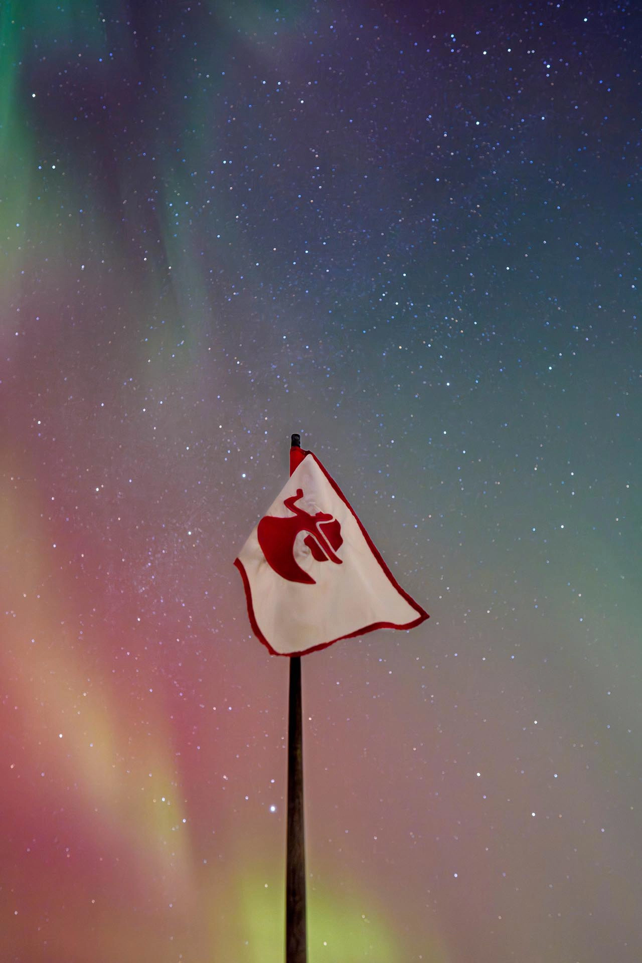 Nice Office Brandon Carter No. 33