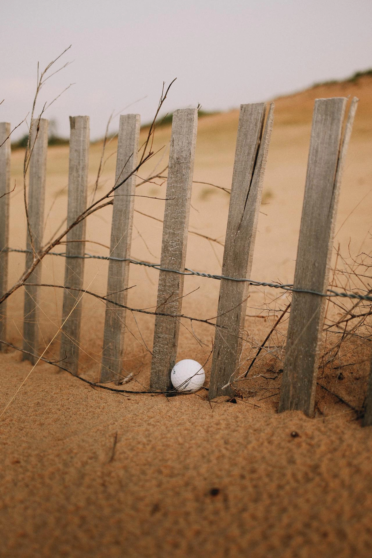 Nice Office Brandon Carter No. 33