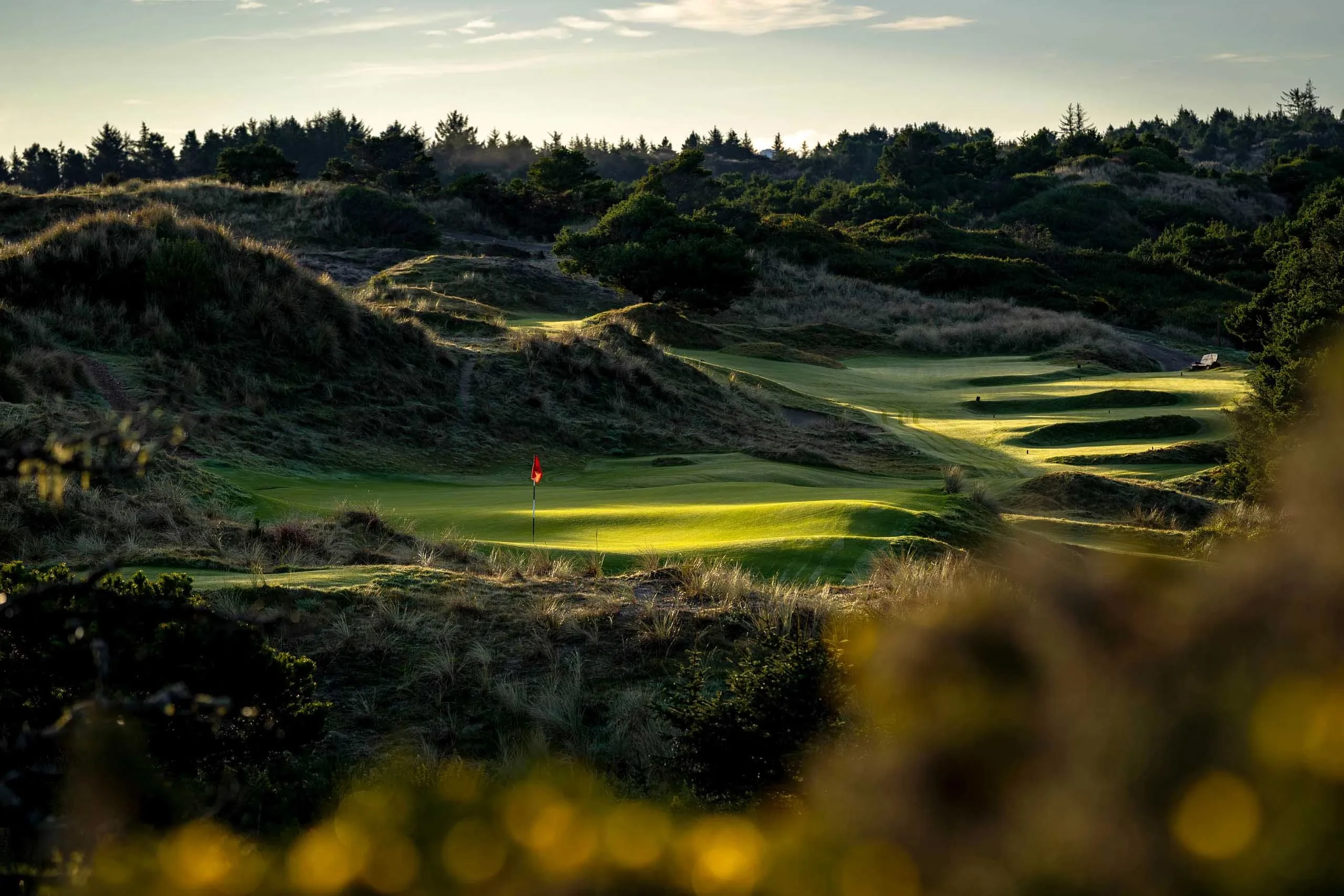 Nice Office Brandon Carter No. 33