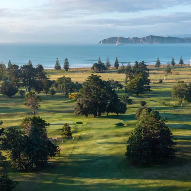 Dawn Patrol Poverty Bay New Zealand No. 33