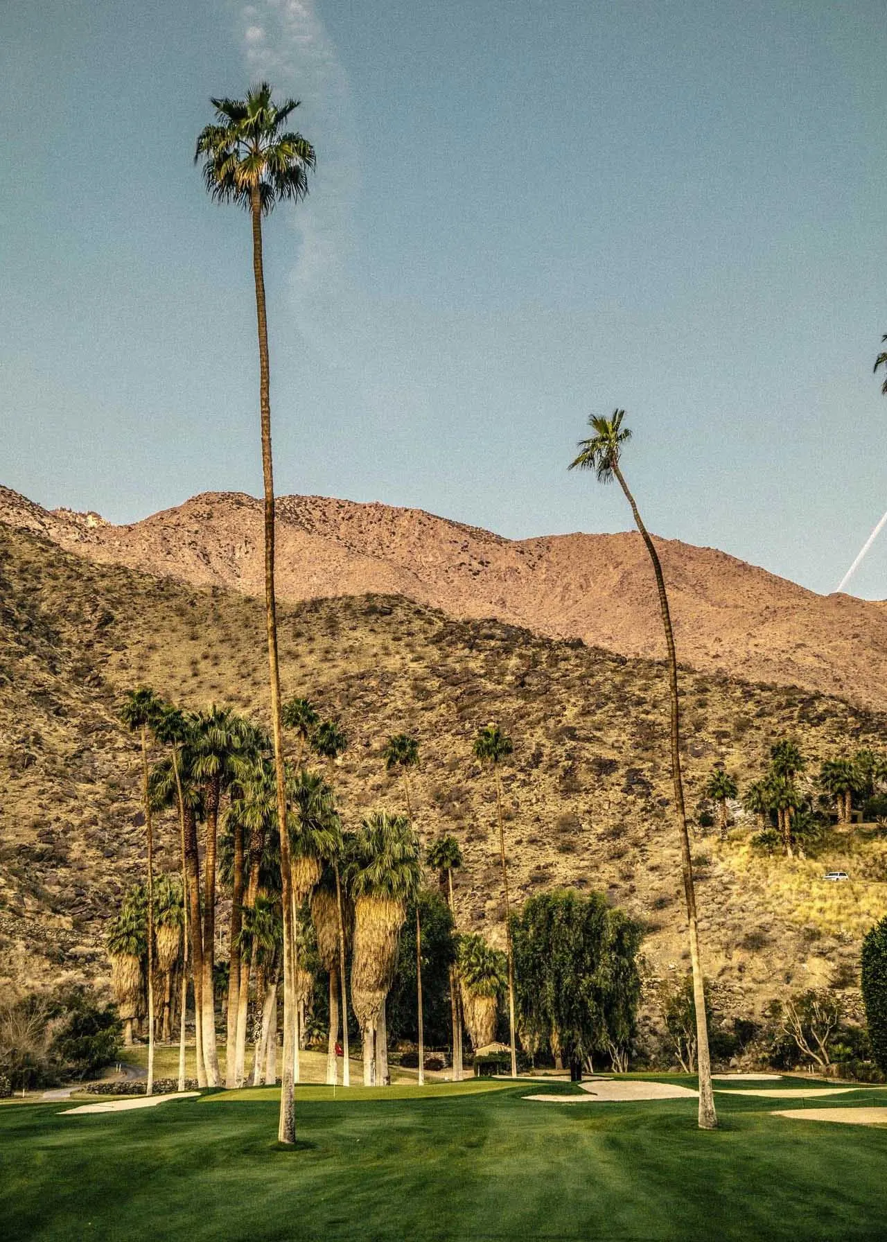 Secret in the Palms O'Donnell Golf Club No. 33