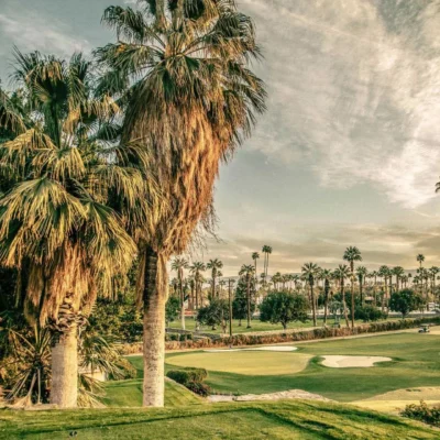 Secret in the Palms O'Donnell Golf Club No. 33