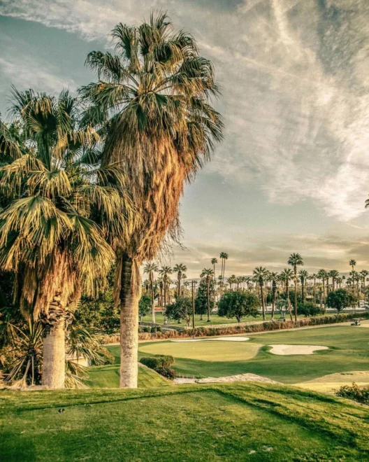 Secret in the Palms O'Donnell Golf Club No. 33