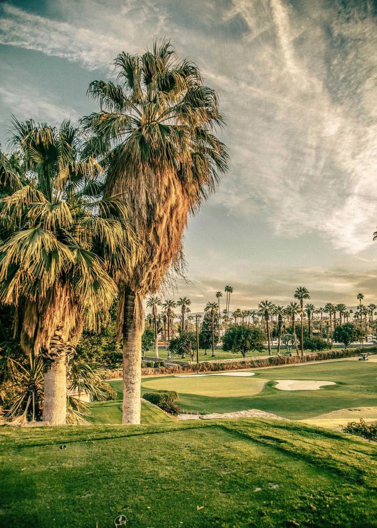 Secret in the Palms O'Donnell Golf Club No. 33