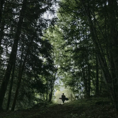 Powder Highway No. 34