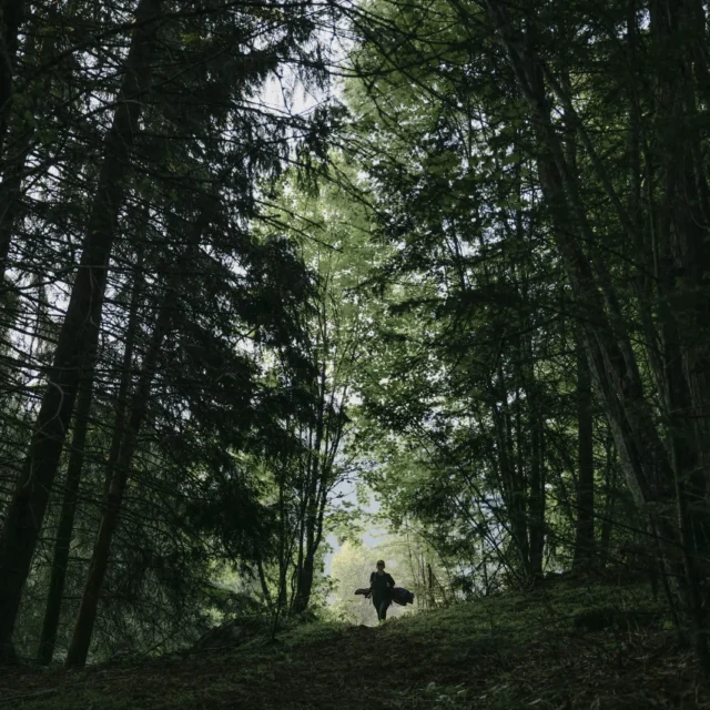 Powder Highway No. 34