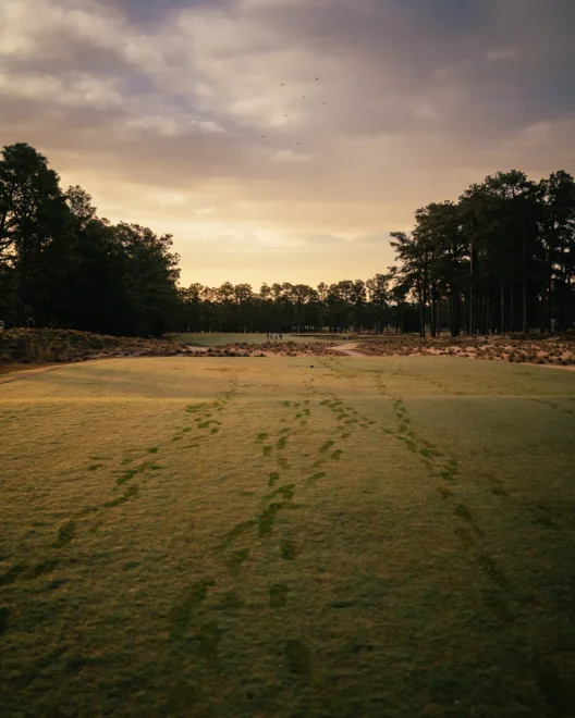Pinehurst 4