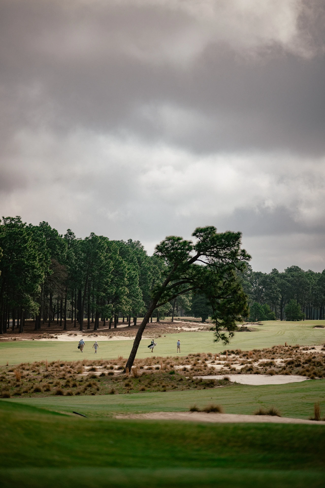 Pinehurst