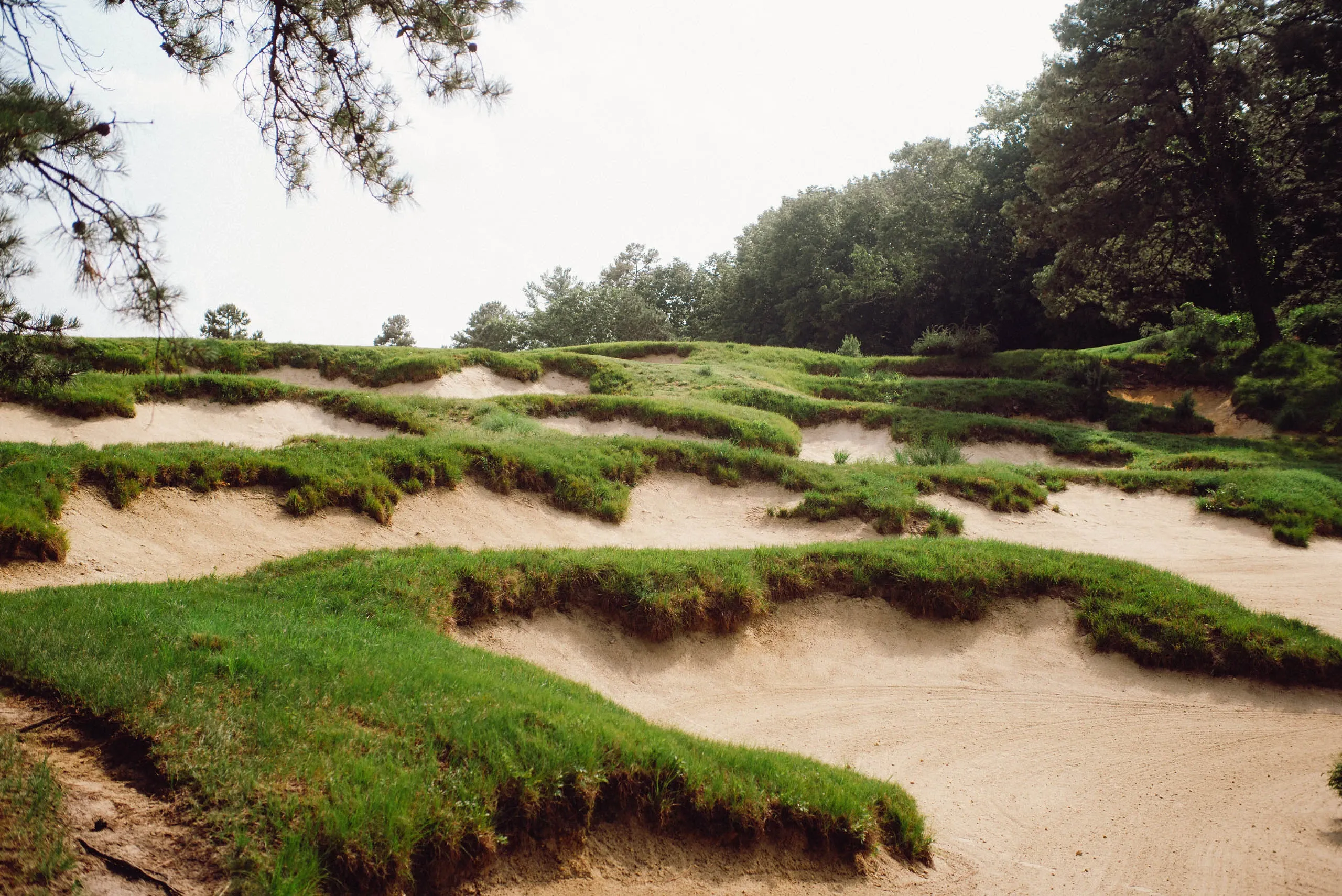 The Real Truth of Pine Valley - The Golfer’s Journal