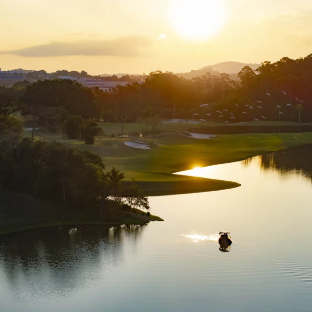 Santapazienza Brazil No. 35