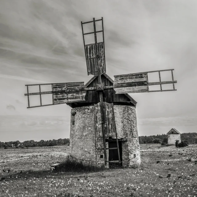 Visby No. 36