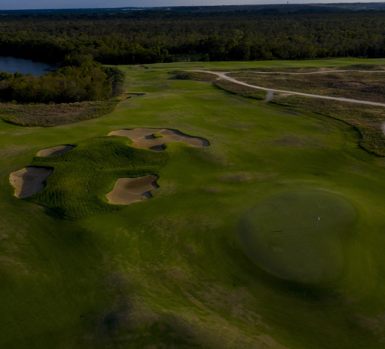 Trinity Forest