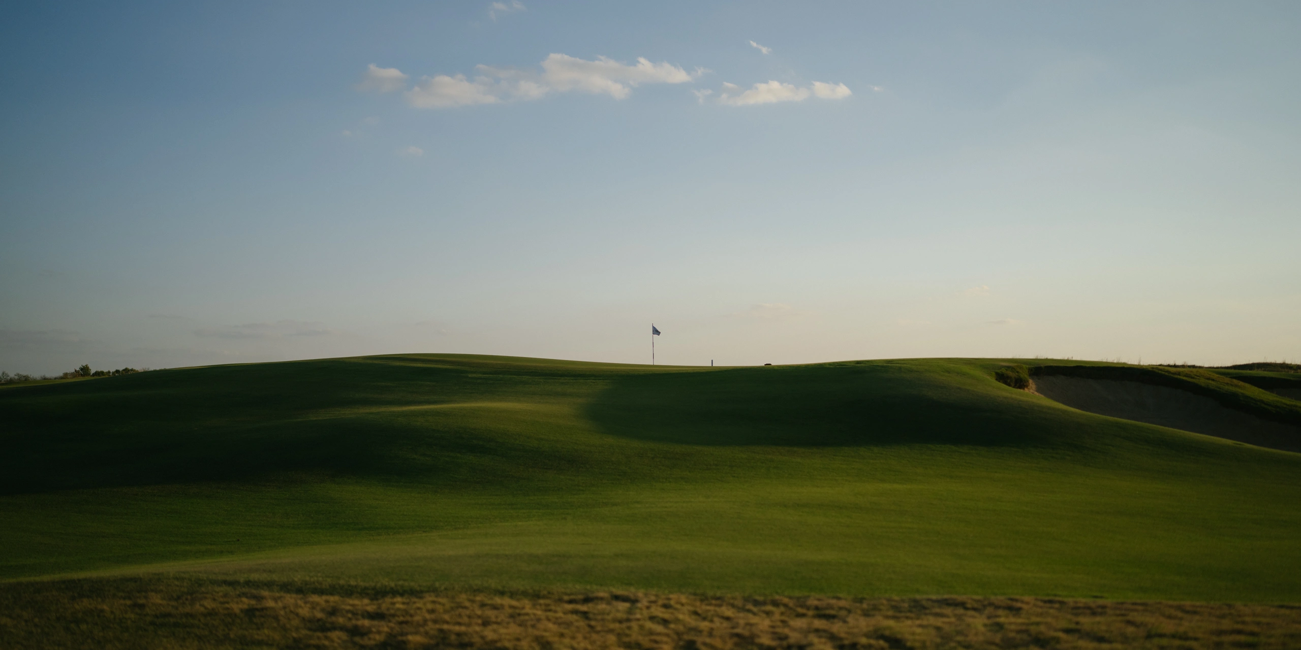 Trinity Forest
